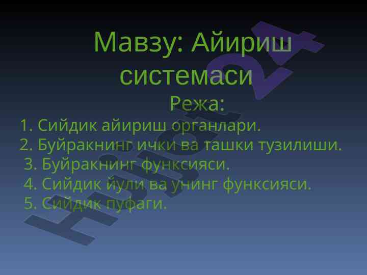 Айириш системаси ва буйракнинг функсияси