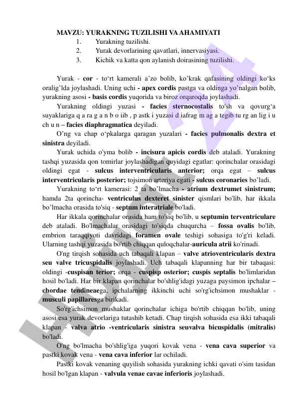 Yurakning tuzilishi va ahamiyati
