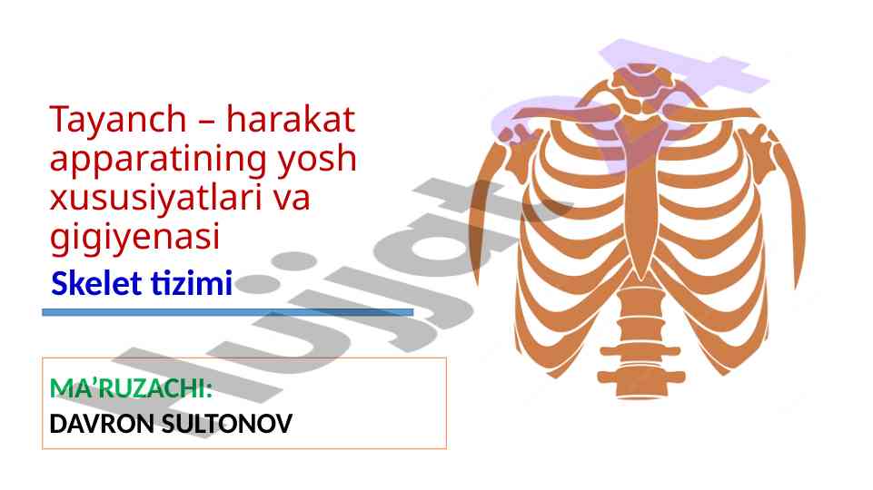 Tayanch harakat apparati va gigiyenasi