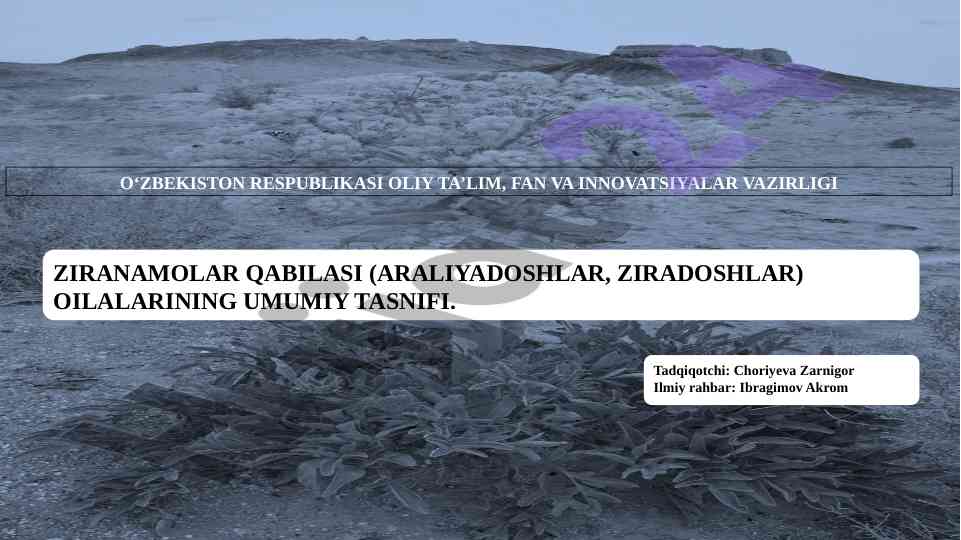 Ziranamolar qabilasining umumiy tasnifi