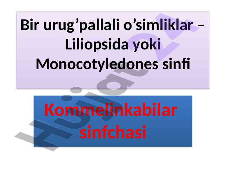 Bir urug’pallali o’simliklar va ularning klassifikasiya