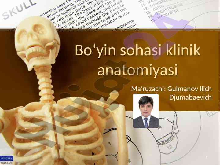 Bo‘yin sohasi klinik anatomiyasi va operativ jarrohlik