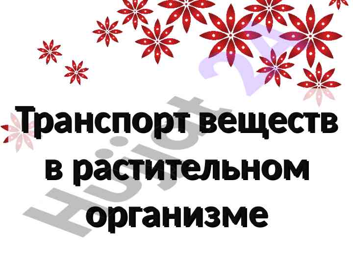 Transport veshchestv v rastenitelnom organizme