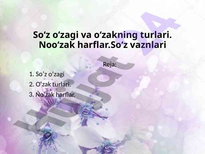 So‘z o‘zagi va o‘zakning turlari