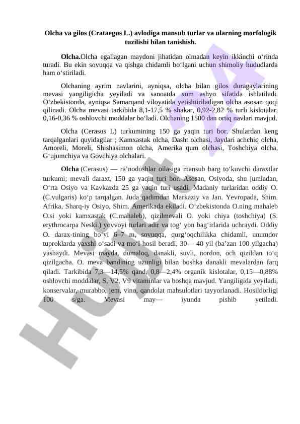 Olcha va gilos turlarining morfologik tuzilishi