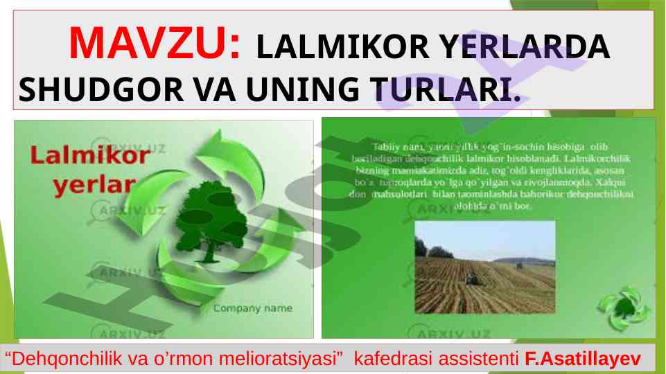Shudgor turlari va lalmikorlikda ahamiyati
