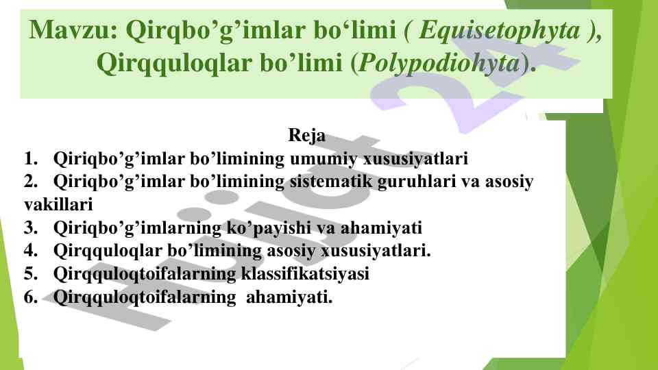 Qirqbo’g’imlar va qirqquloqlar bo’limi tahlili