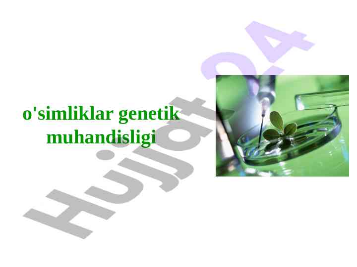 O'simliklar genetik muhandisligi texnikalari