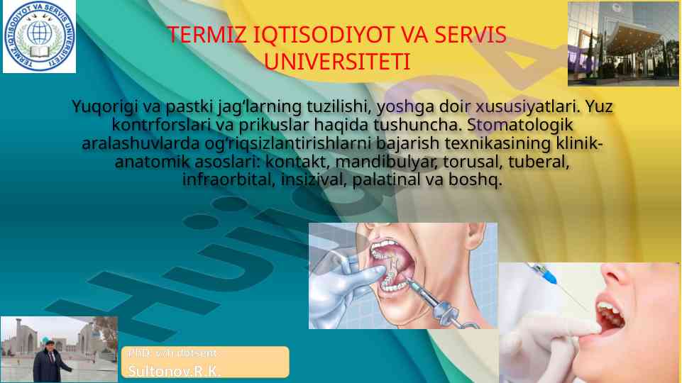 Yuqori va pastki jag‘larning tuzilishi va xususiyatlari