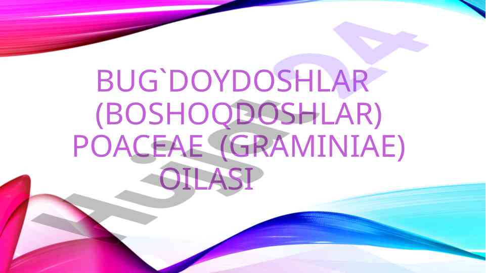 Bug' doydoshlar oilasi klasifikatsiyasi