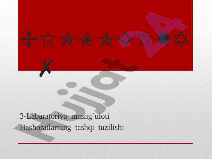 Hashoratlarning tashqi tuzilishi laboratoriya mashg`uloti
