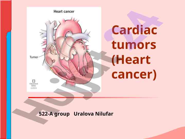 Heart cancer overview and key risk factors