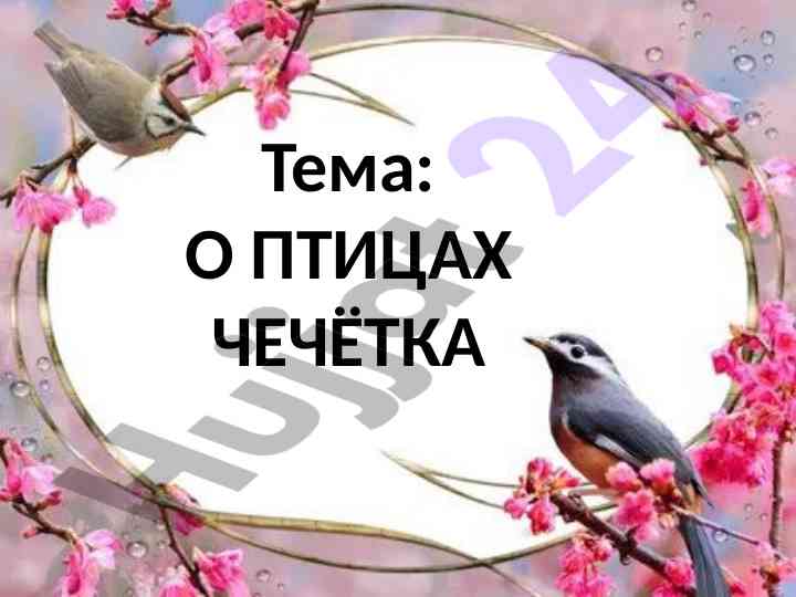 Интересные факты о птицах их видах