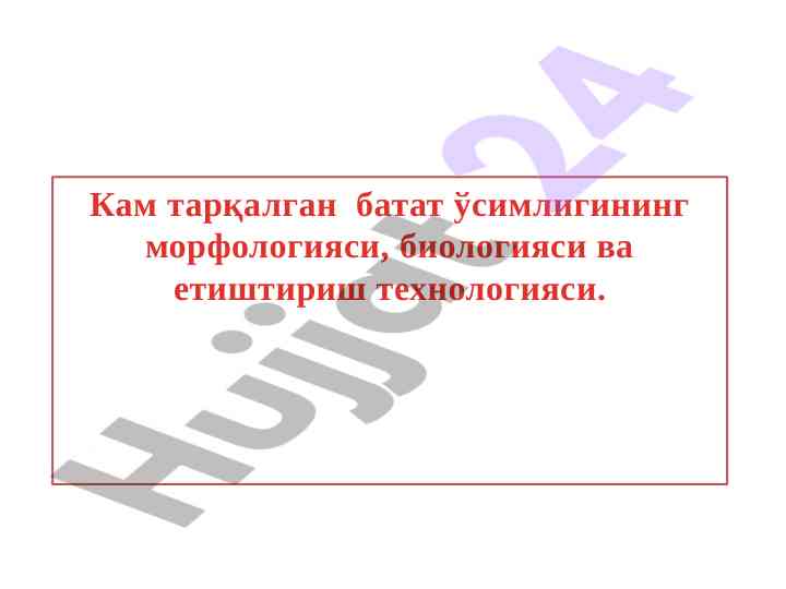 Батат ўсимлигининг морфологияси вa етиштириш технологияси