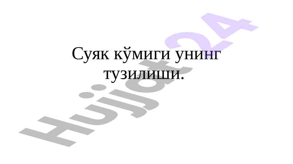 Suyak ko'migi tuzilishi va funktsiyasi