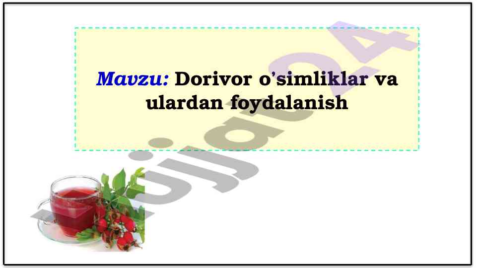Dorivor o’simliklar va ularning foydalanish usullari