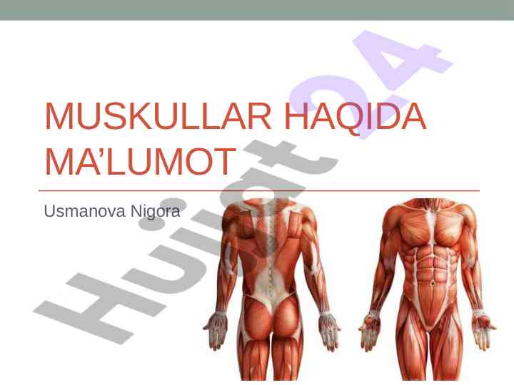 Mushaklar fiziologiyasi va turi haqida ma’lumot