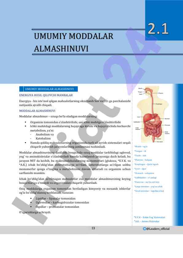 Moddalar almashinuvining asosiy jarayonlari