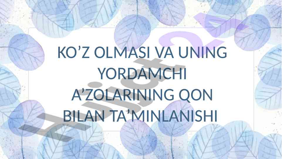 Ko’z arteriyasining qon bilan ta’minlanishi