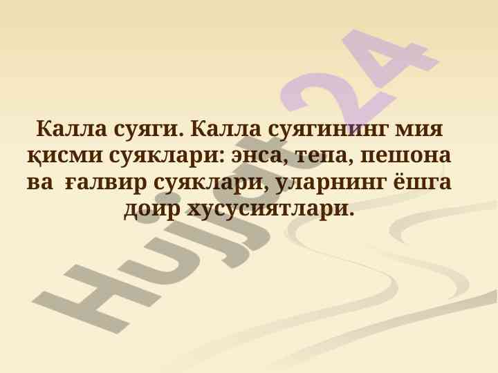 Калла суяги учин тўлиқ моликият тасвири