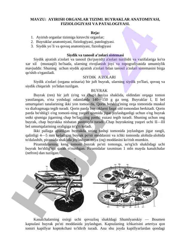 Ayirish organlar tizimi anatomiyasi va fiziologiyasi