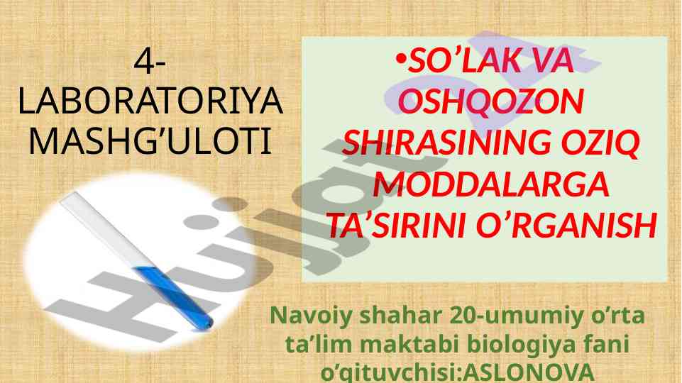 Laboratoriya mashg'uloti sola va oshqozon shirasining ta'siri