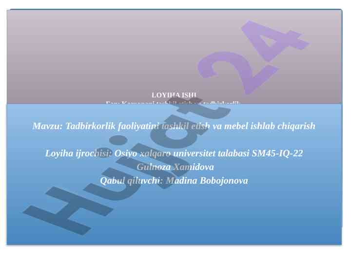 Tadbirkorlik faoliyatini tashkil etish loyihasi