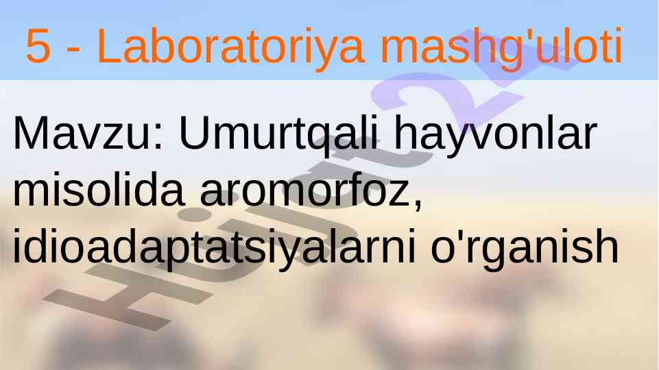 Umurtqali hayvonlar ahamiyatidagi aromorfoz o'rganish