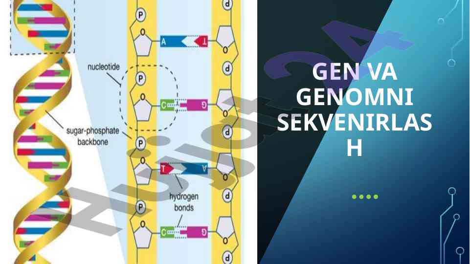 Genomika va genlarni sekvenirlash tahlili