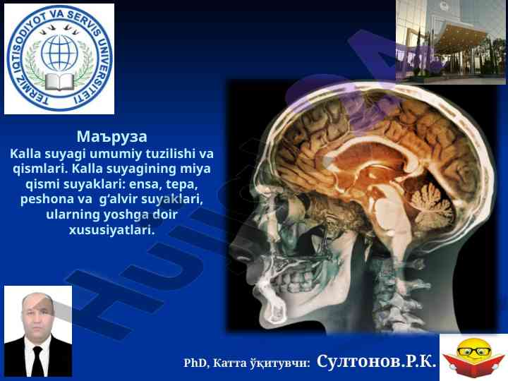 Kalla suyagi umumiy tuzilishi va qismlari