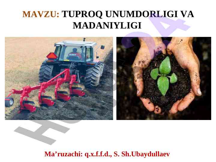 Tuproq unumdorligi va madaniyligi tahlili