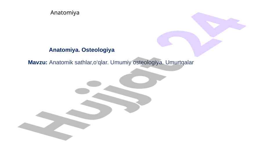 Anatomik sathlar va o‘qlar: umurtqalar osteologiyasi