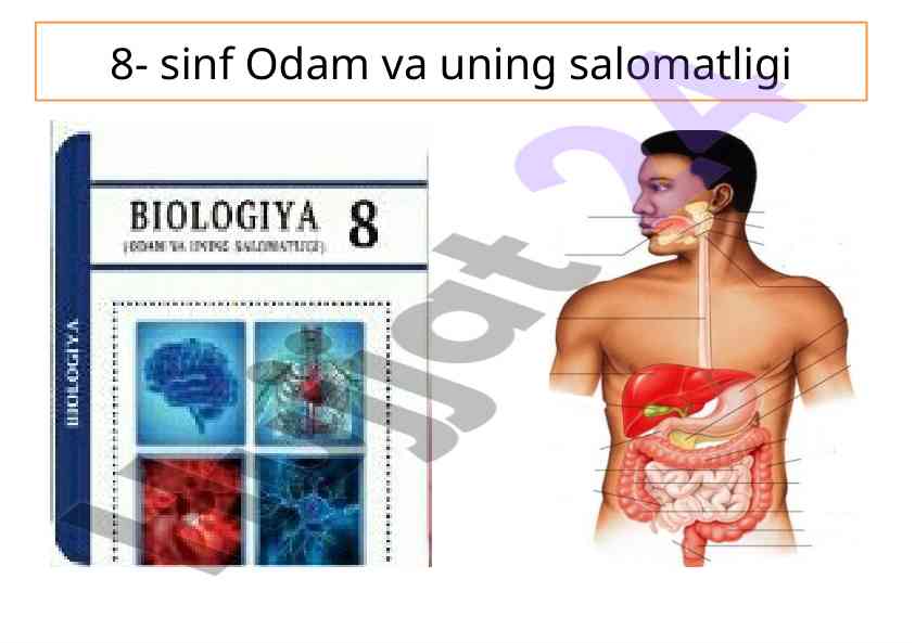 8-sinf odam va uning salomatligi fanining asoslari