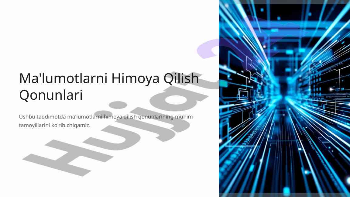 Ma'lumotlarni himoya qilish qonunlari taqdimoti