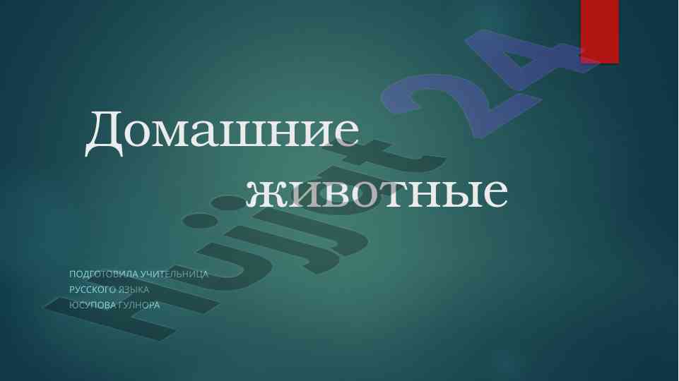 Domashniye zhivotnye obucheniye rasshiryeniya