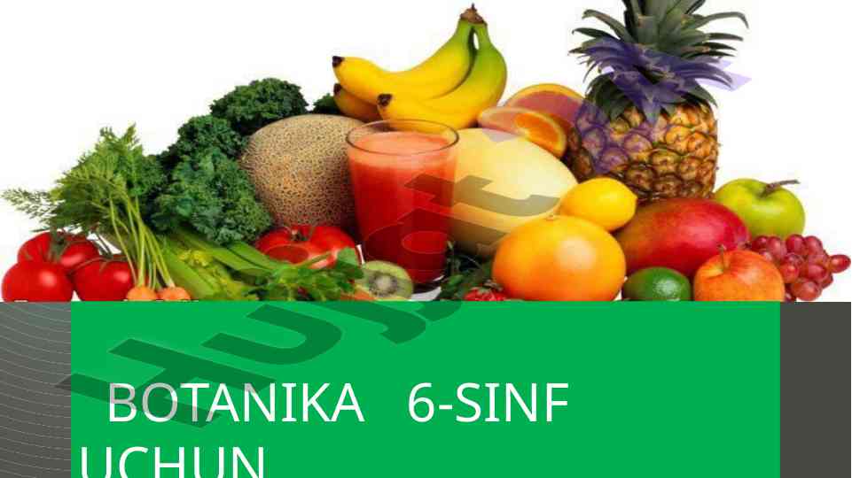 Botanika 6-sinf uchun gulkashlarda o'simliklar