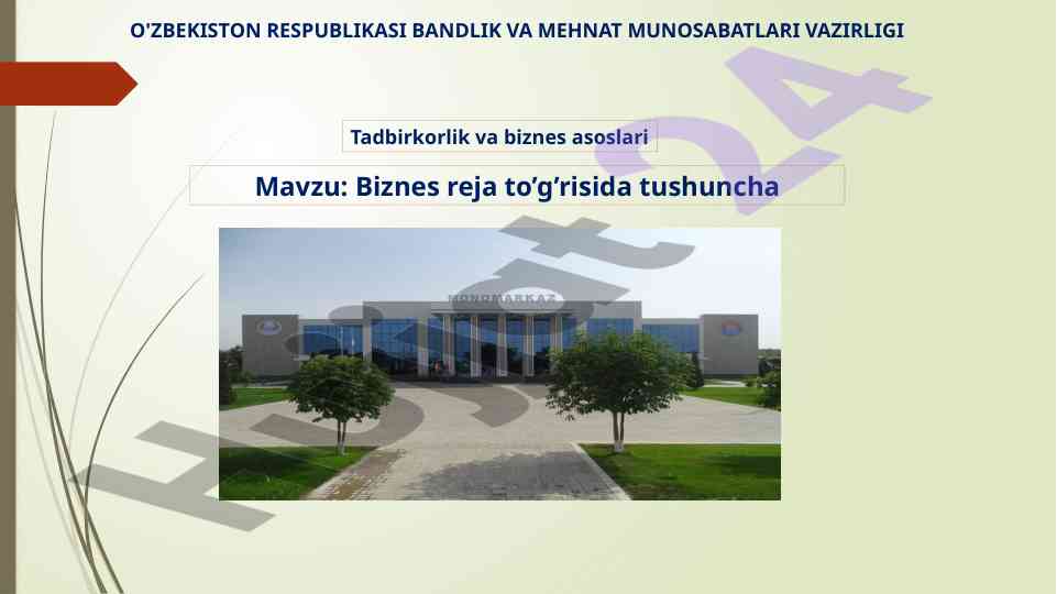 Biznes reja tushunchasi va uning ahamiyati