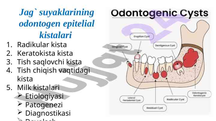 Jag` suyaklarining odontogen epitelial kistalari tahlili