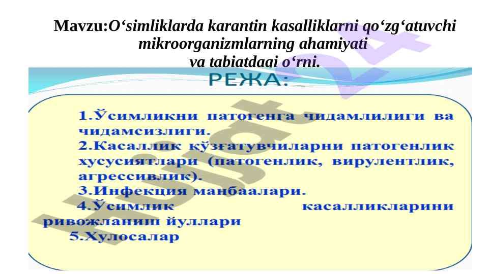 O‘simliklarda karantin kasalliklari va zamburug‘lar