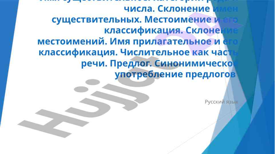 Имя существительное и его классификация в русском языке