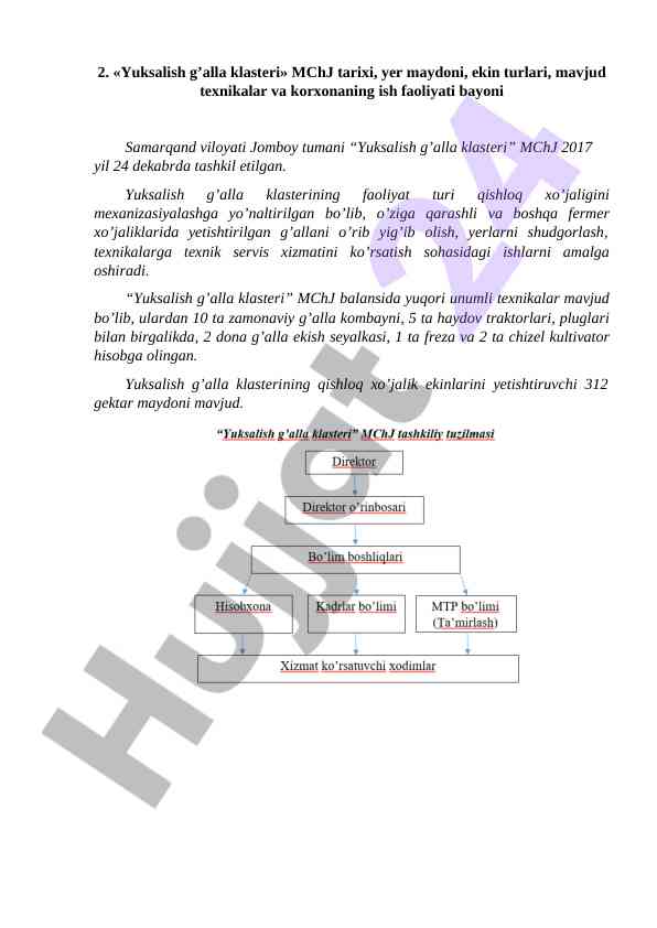 Yuksalish galla klasteri mchj tarixi va faoliyati