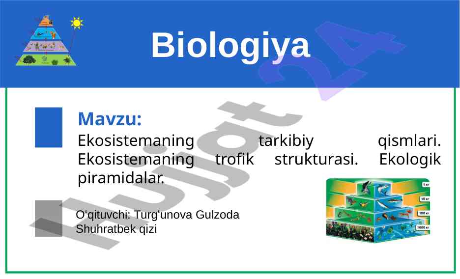 Ekosistemaning tarkibiy qismlari va trokik strukturasi