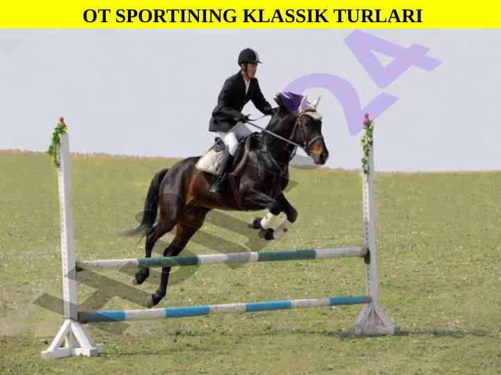Ot sportining klassik turlari haqida ma’lumotlar