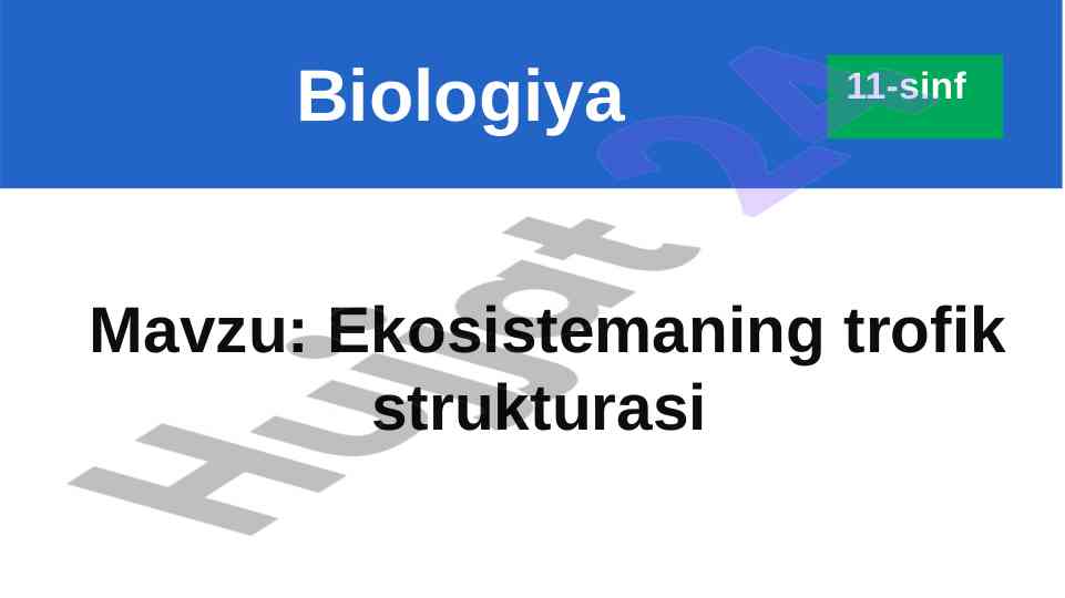 Ekosistemaning trofik strukturasi va oziq zanjiri