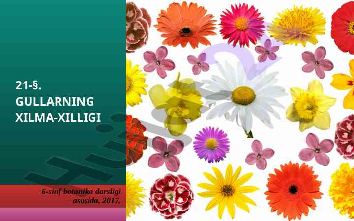 Gullarning xilma-xilligi va o'simliklar turlari