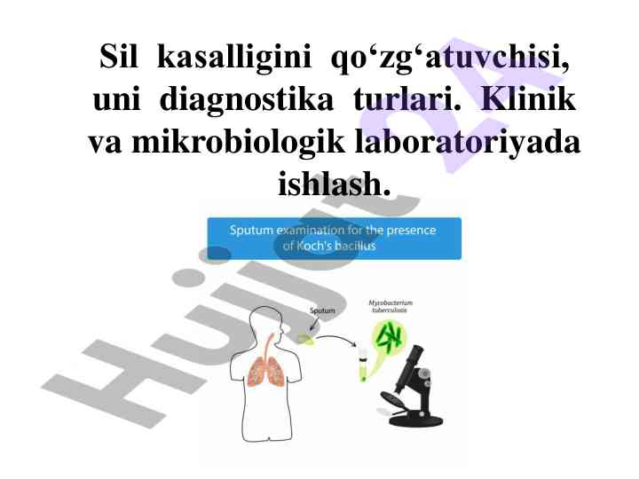 Sil kasalligini qo‘zg‘atuvchisi va diagnostika turlari