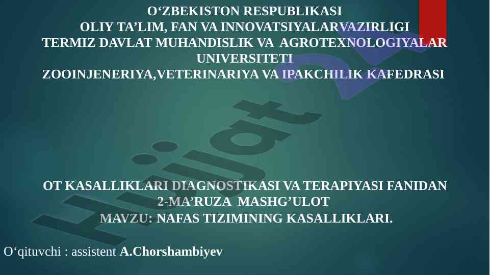 Nafas tizimining kasalliklari: diagnosticasi va terapiyasi