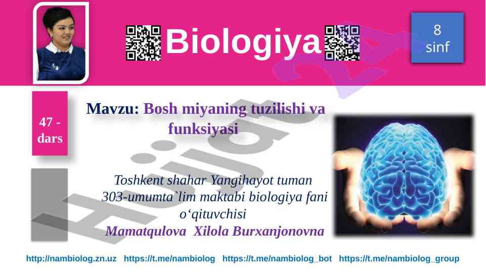 Bosh miyaning tuzilishi va funksiiyasi