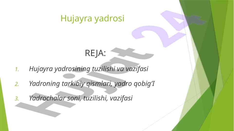 Hujayra yadrosining tuzilishi va vazifasi