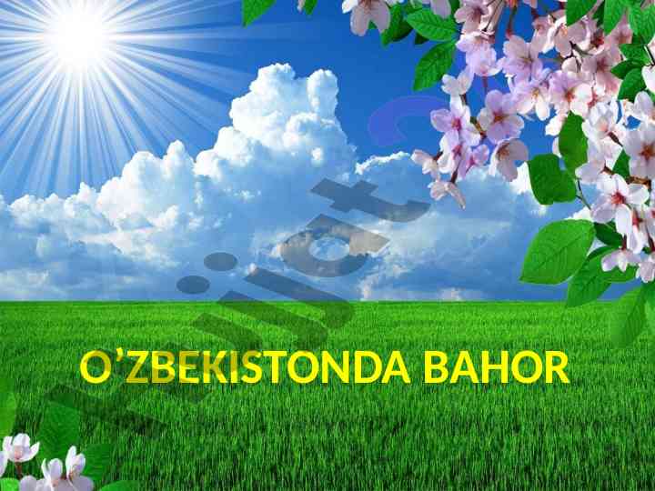 O‘zbekistonda bahor davri va uning o'ziga xosligi